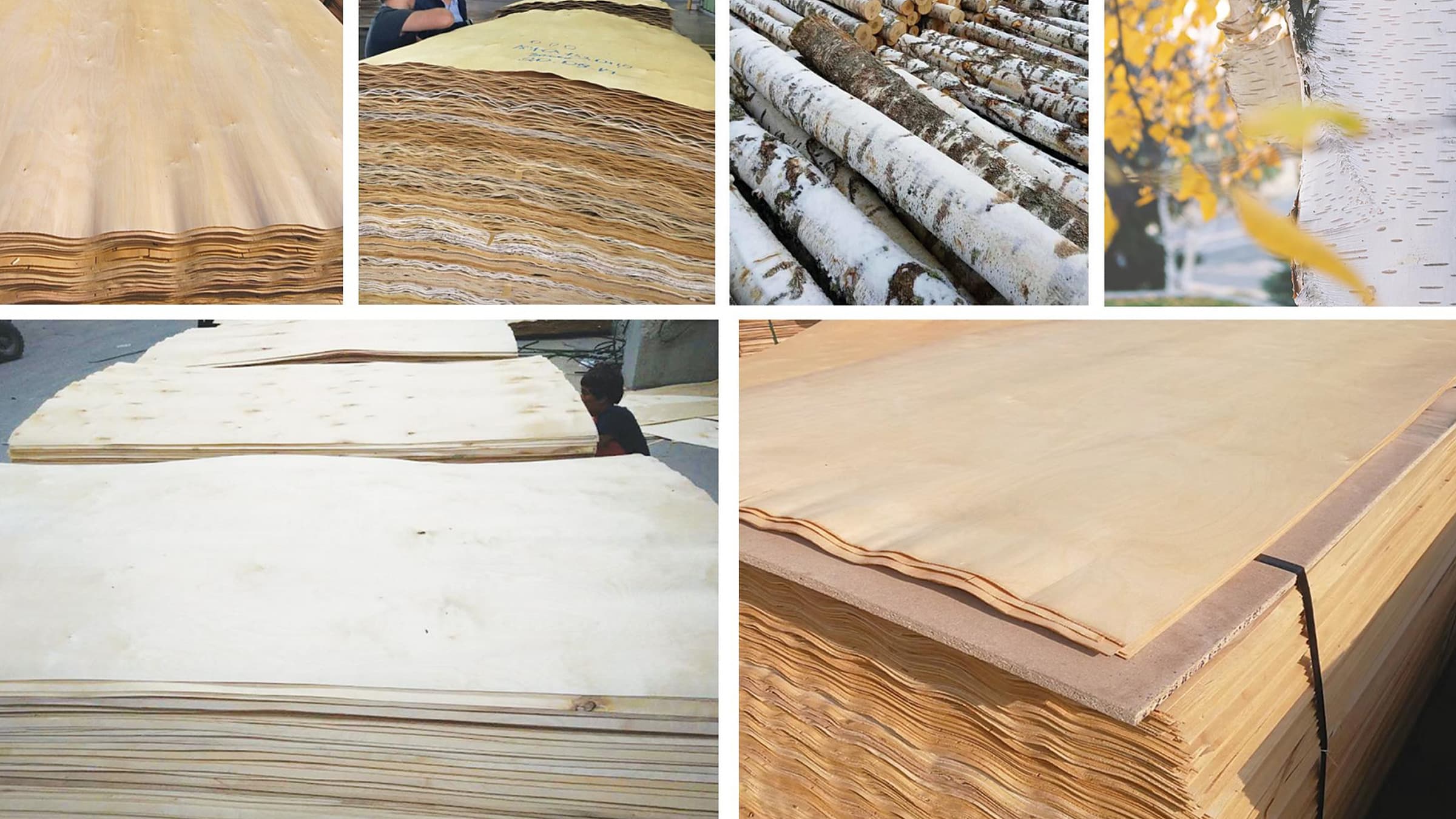 A Formaldehyde Report You Can Verify Yourself: 0.039 ppm Birch Plywood